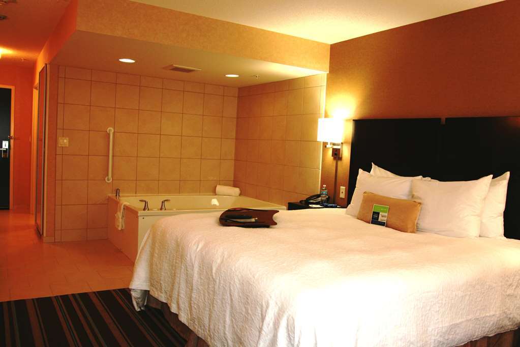 Hampton Inn And Suites Flint/Grand Blanc Δωμάτιο φωτογραφία
